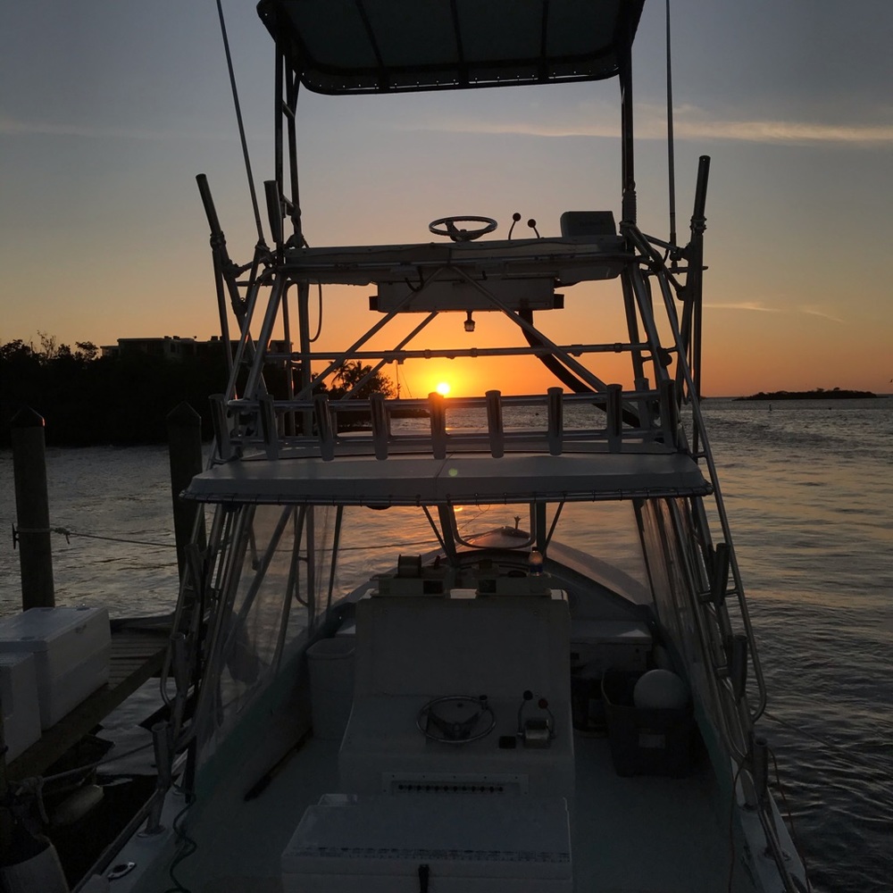 Meet your Posher, Payton